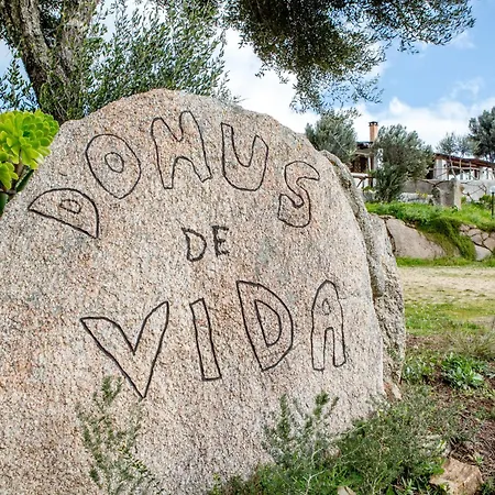 Domus De Vida *