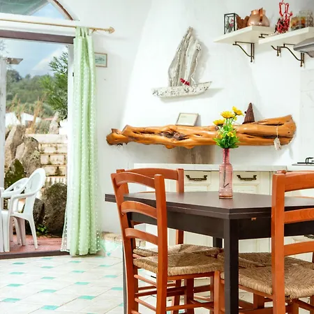 Domus De Vida 호텔