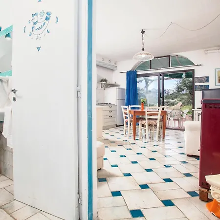 Domus De Vida 호텔