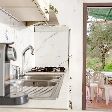 Domus De Vida ホテル *