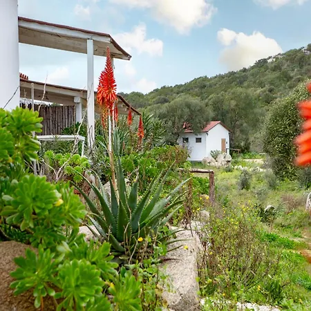 Domus De Vida ホテル