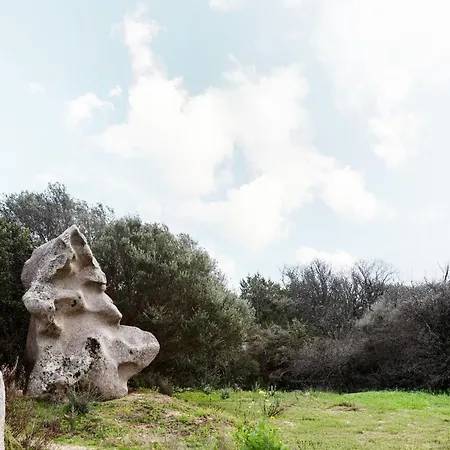 호텔 Domus De Vida 팔라우