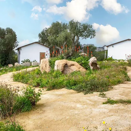 Domus De Vida * 팔라우