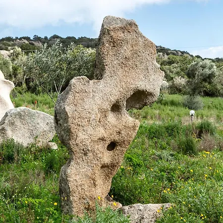 Domus De Vida 호텔 *