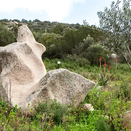 ホテル Domus De Vida *