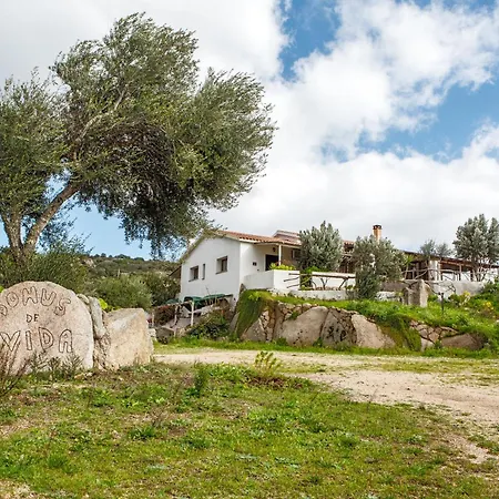 Domus De Vida ホテル パラーウ