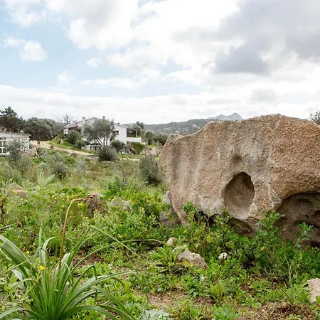 Domus De Vida Palau